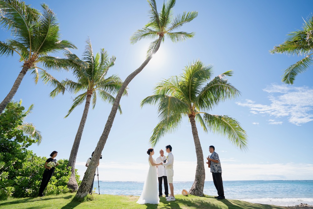 あなたが現在見ているのは 2019.11.08 フォトウェディング★Voice★