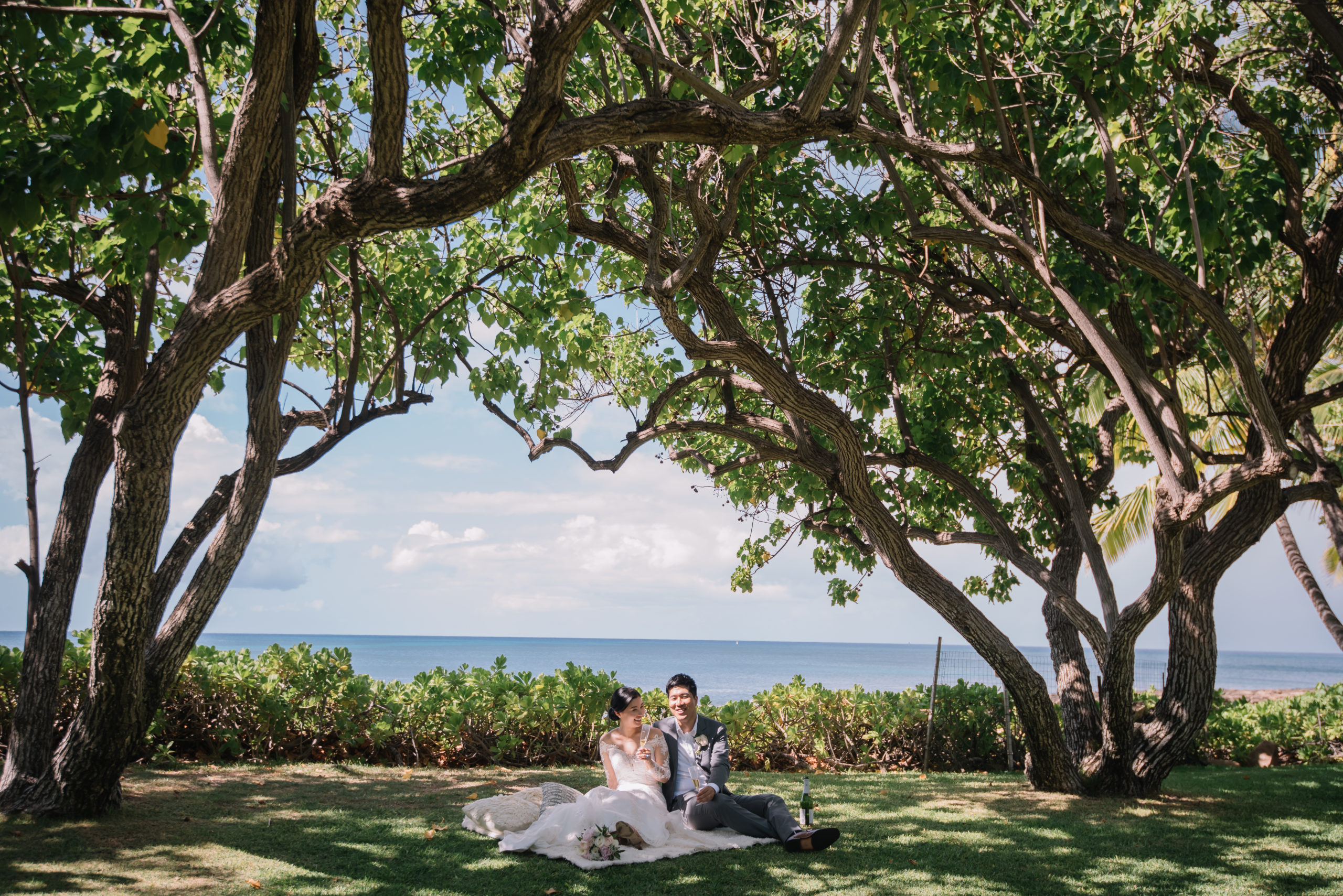 あなたが現在見ているのは 2022.11.09  ラニクホヌア